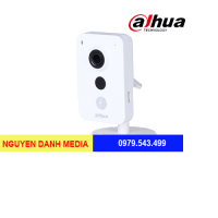 Camera IP ngụy trang Dahua IPC-K35A