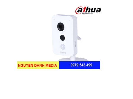 Camera IP ngụy trang Dahua IPC-K35A